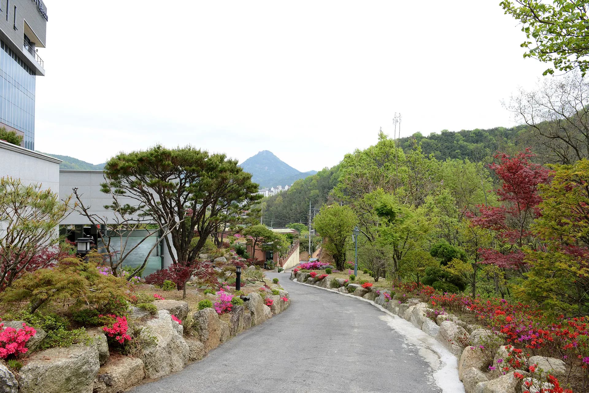Garden 1