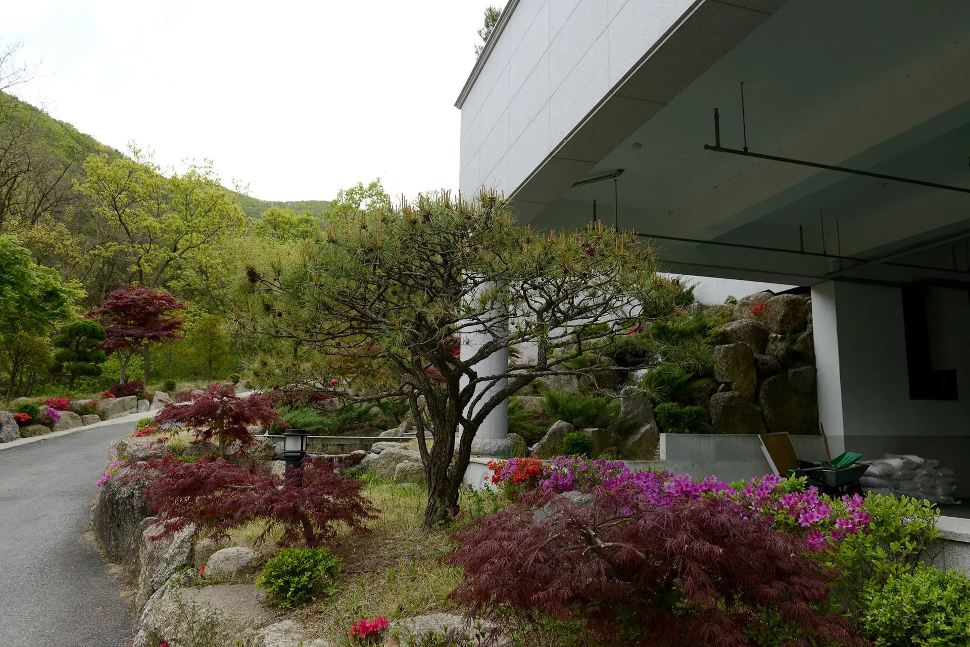 Garden 10