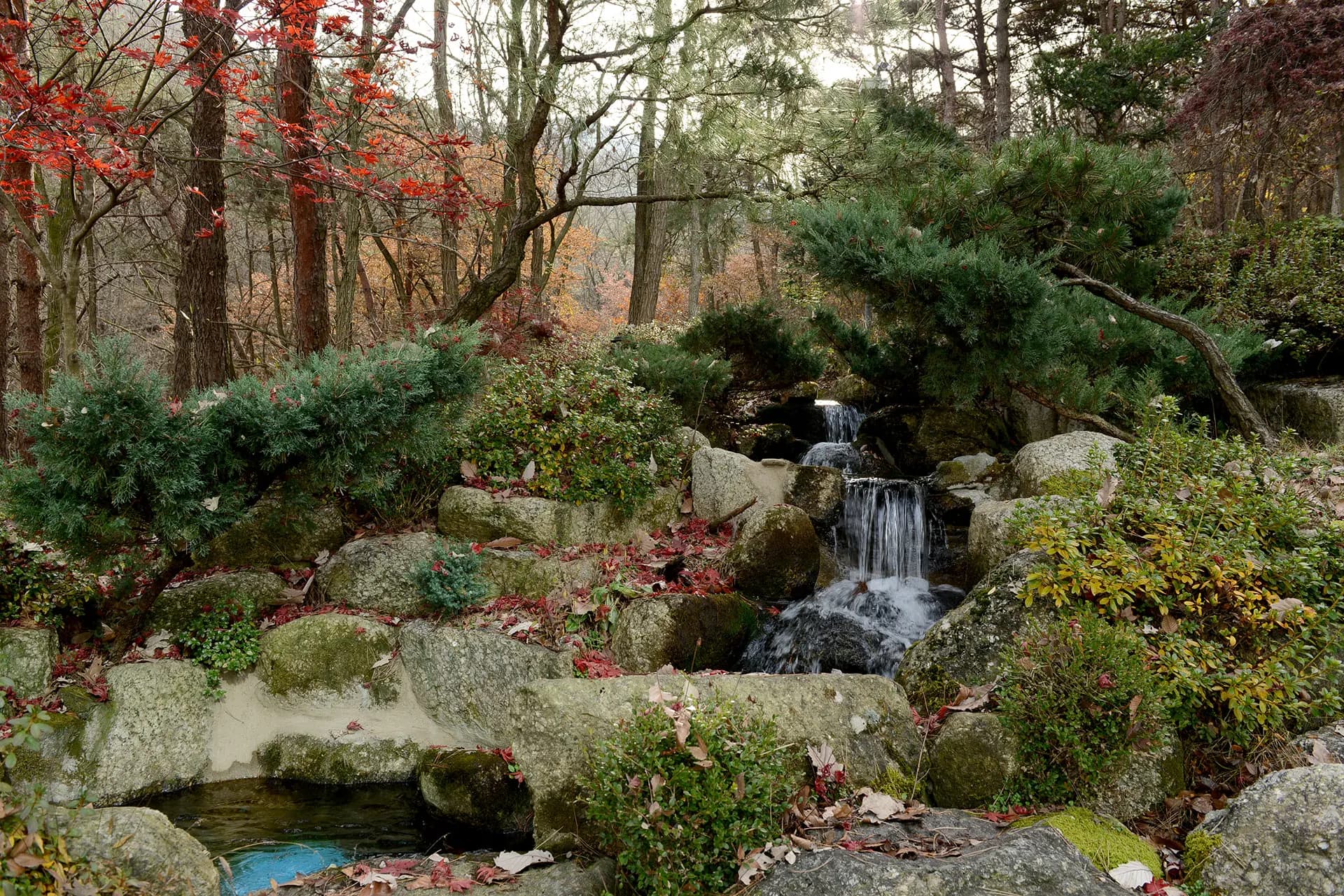 Garden 11