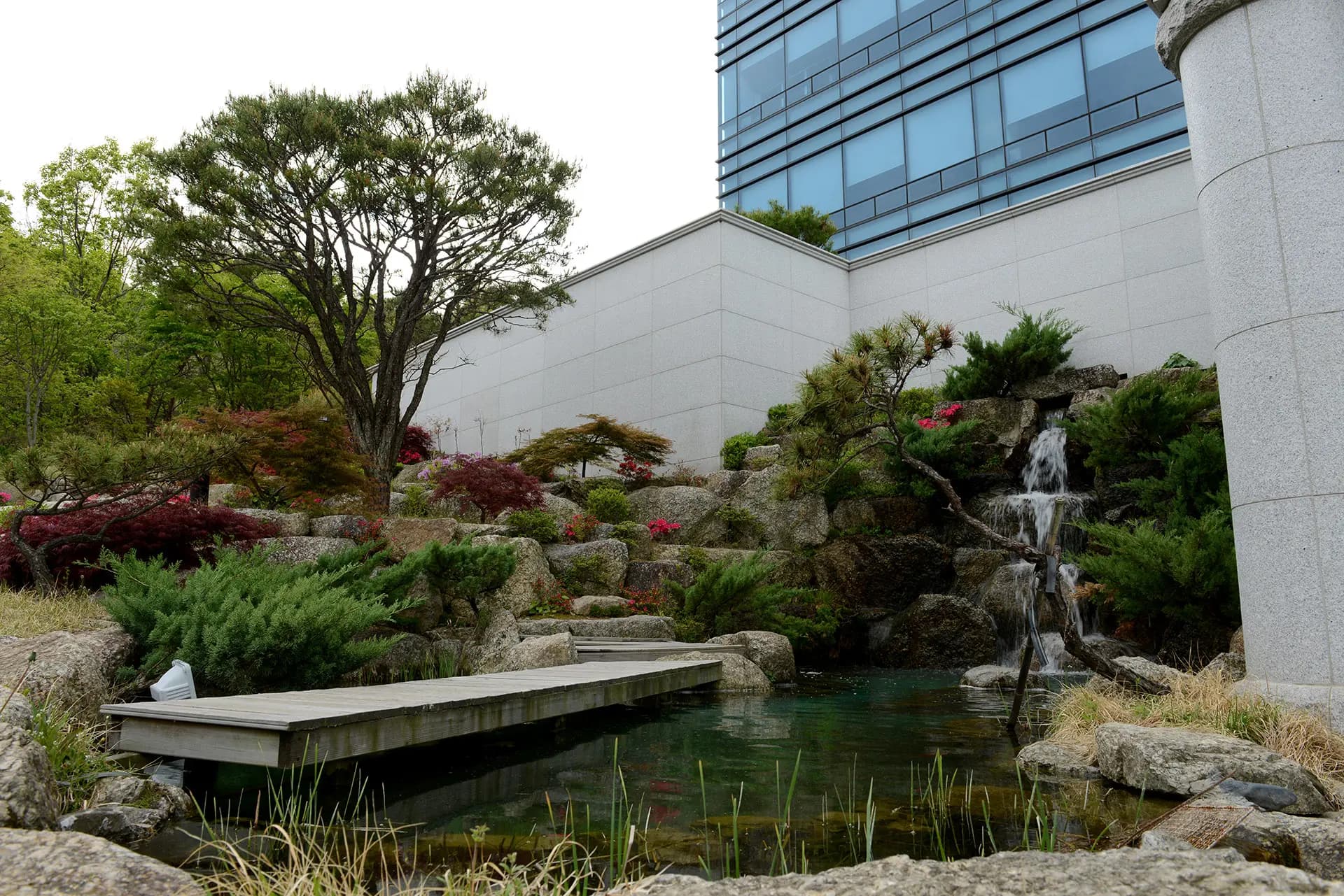 Garden 13