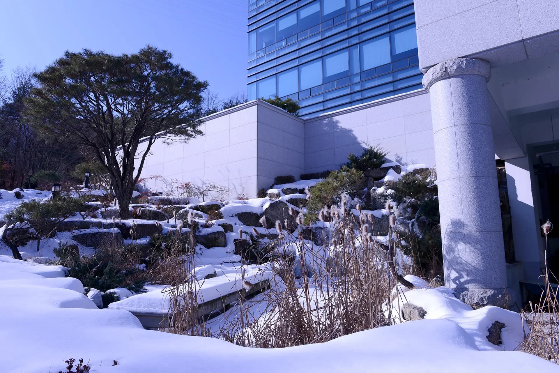 Garden 16