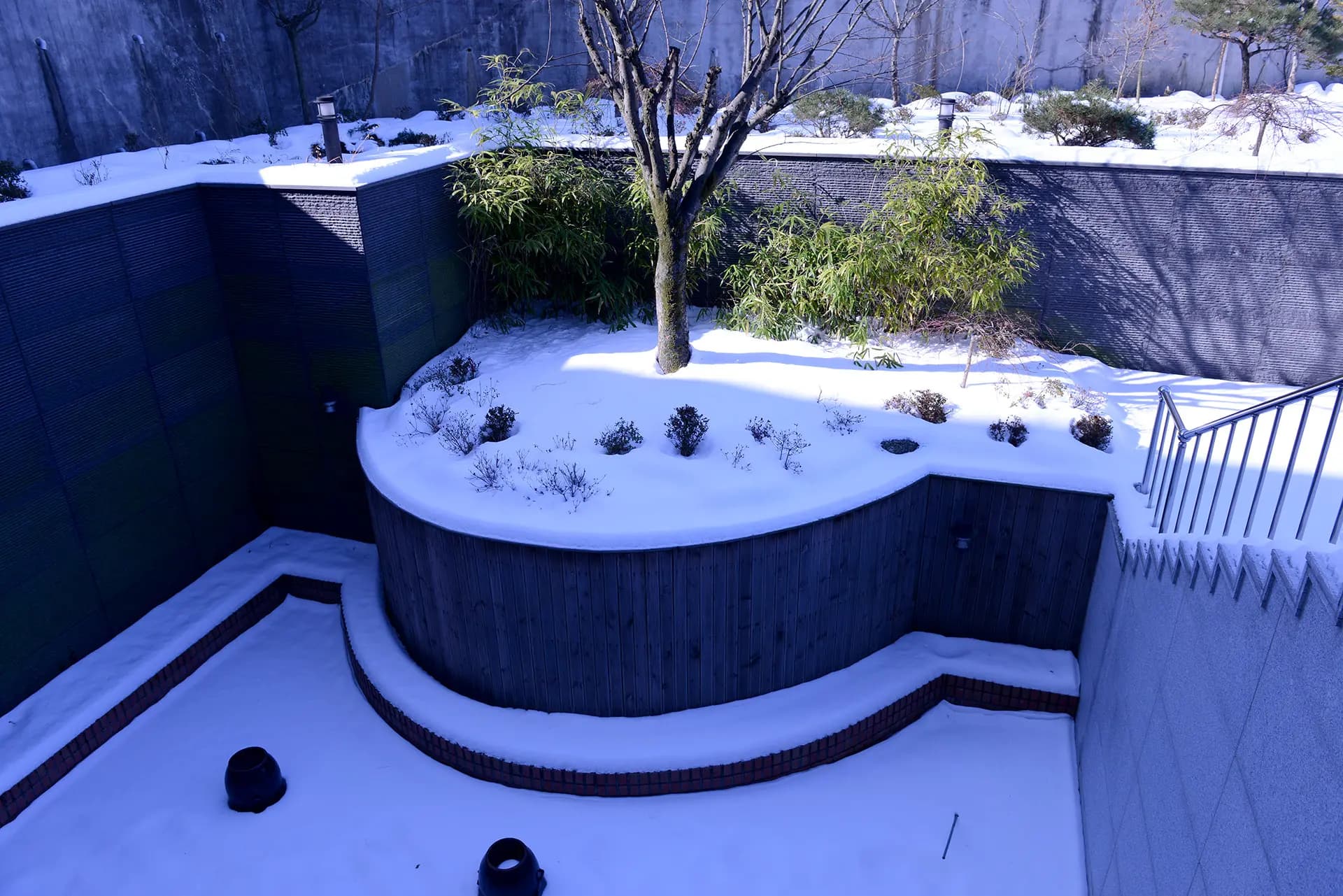 Garden 17