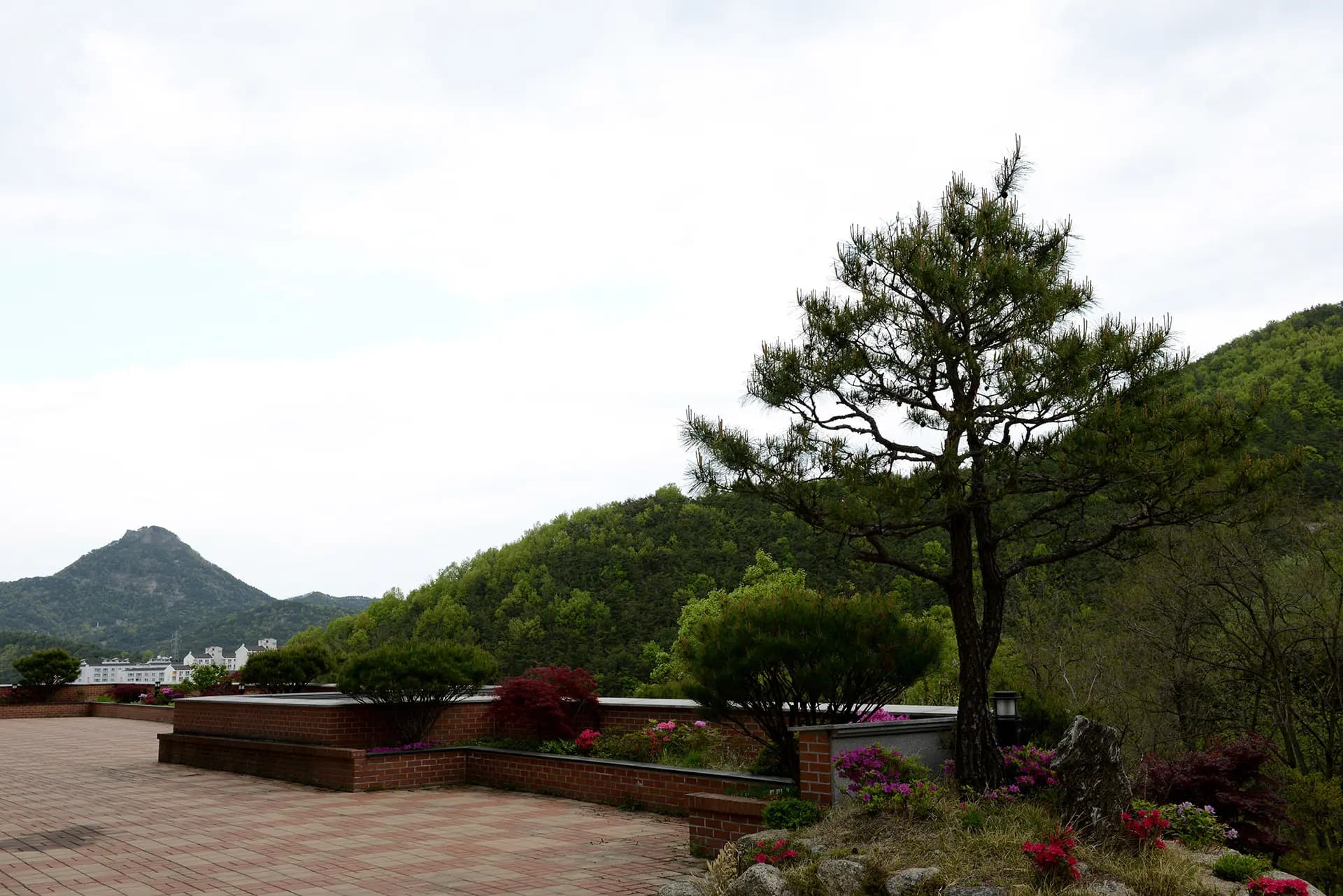 Garden 3