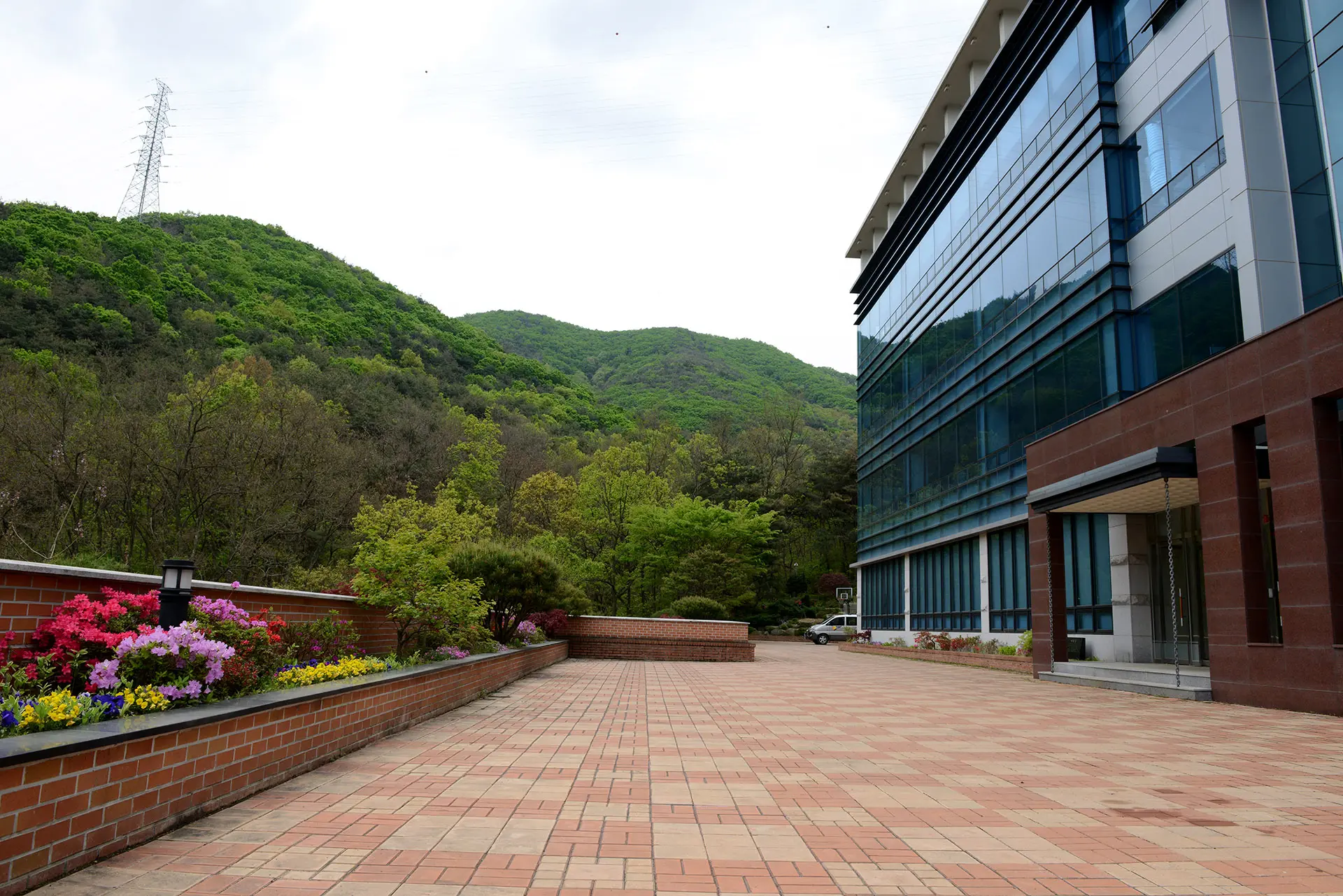 Garden 5