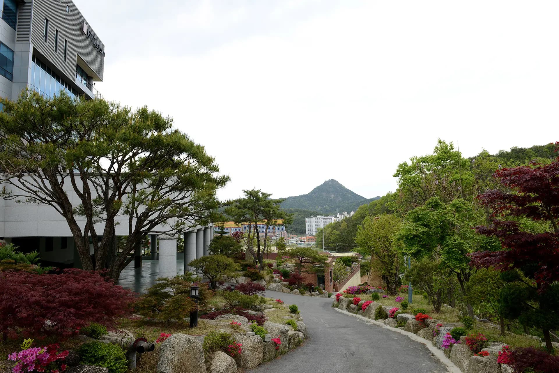 Garden 6