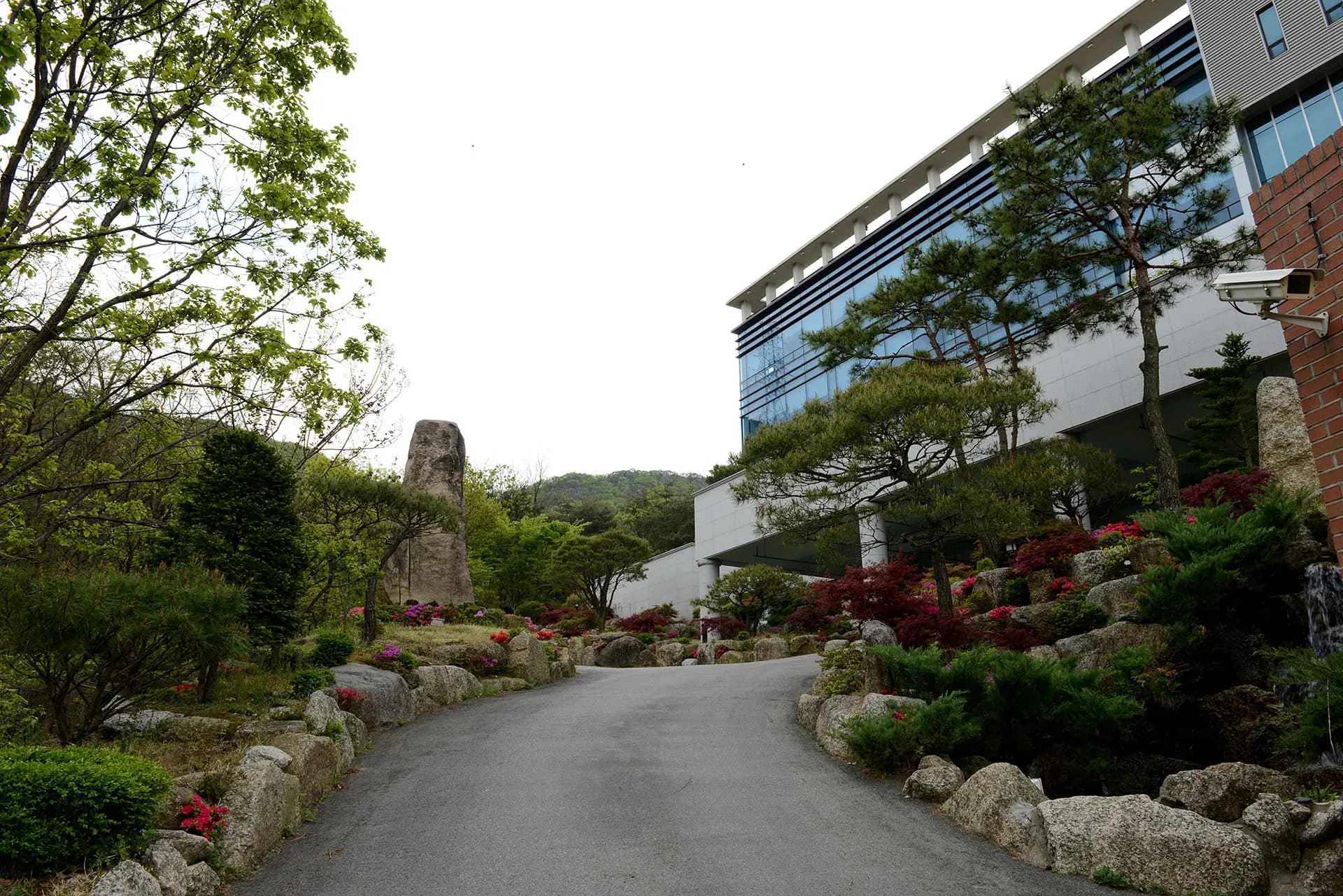 Garden 7