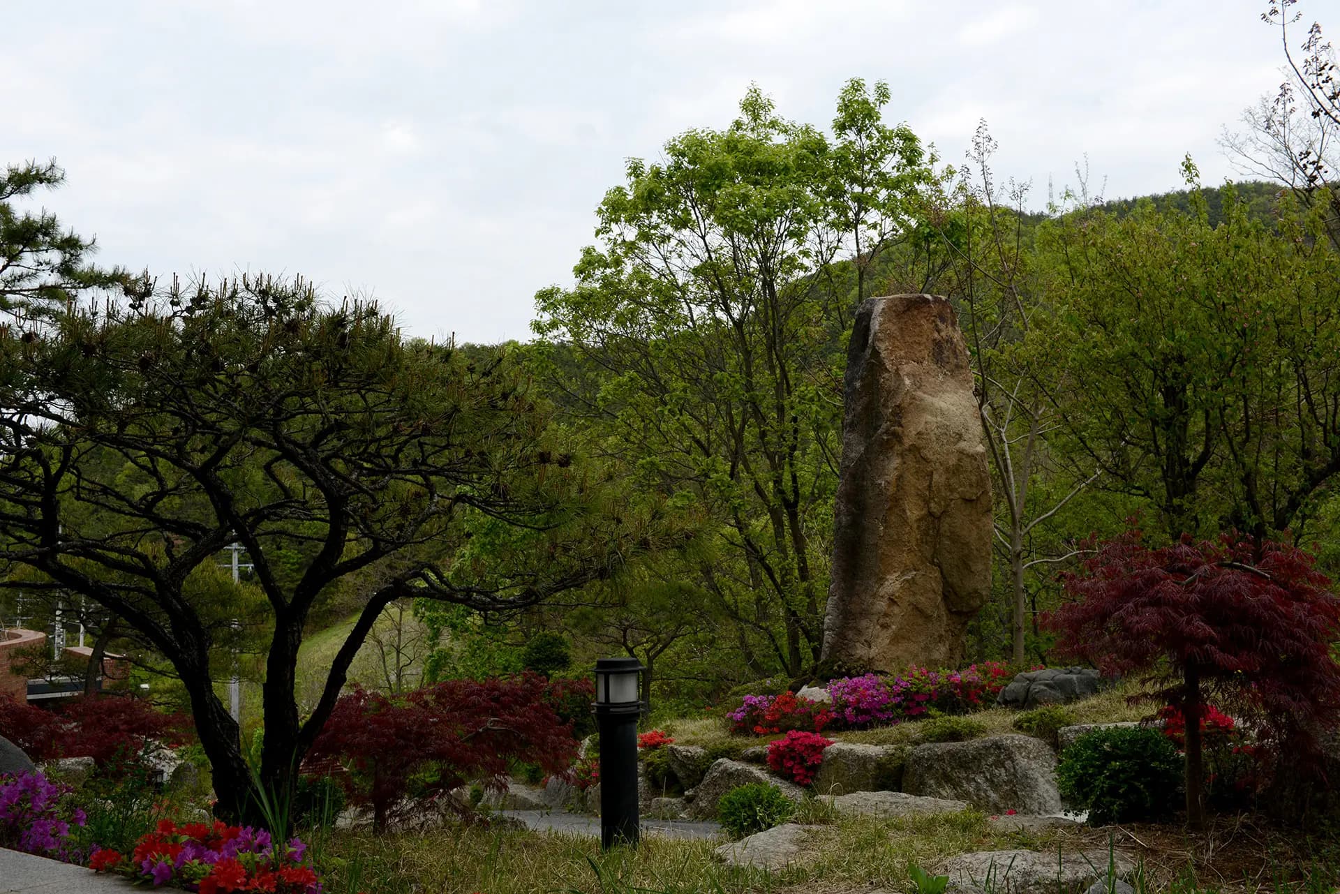 Garden 8