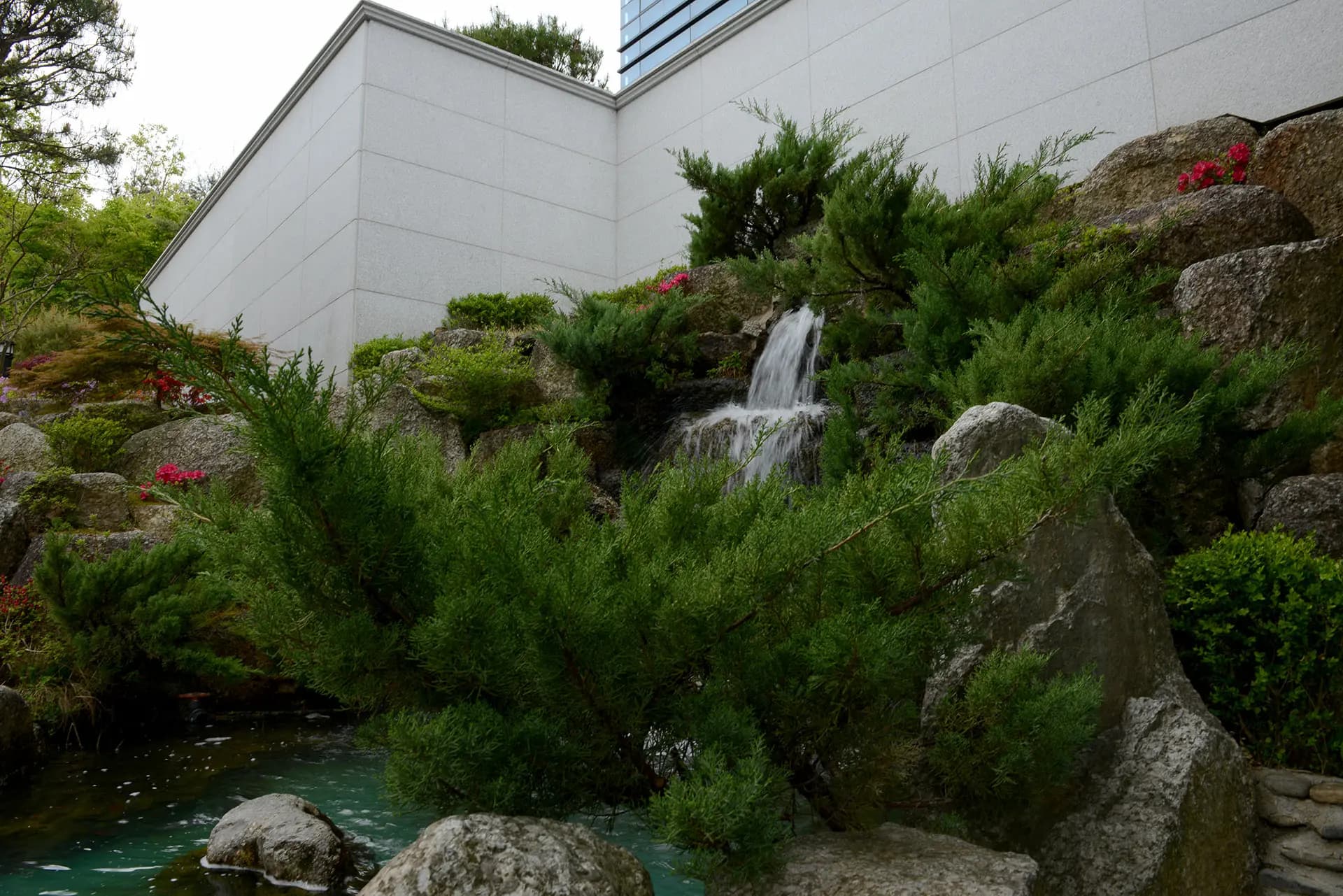 Garden 9